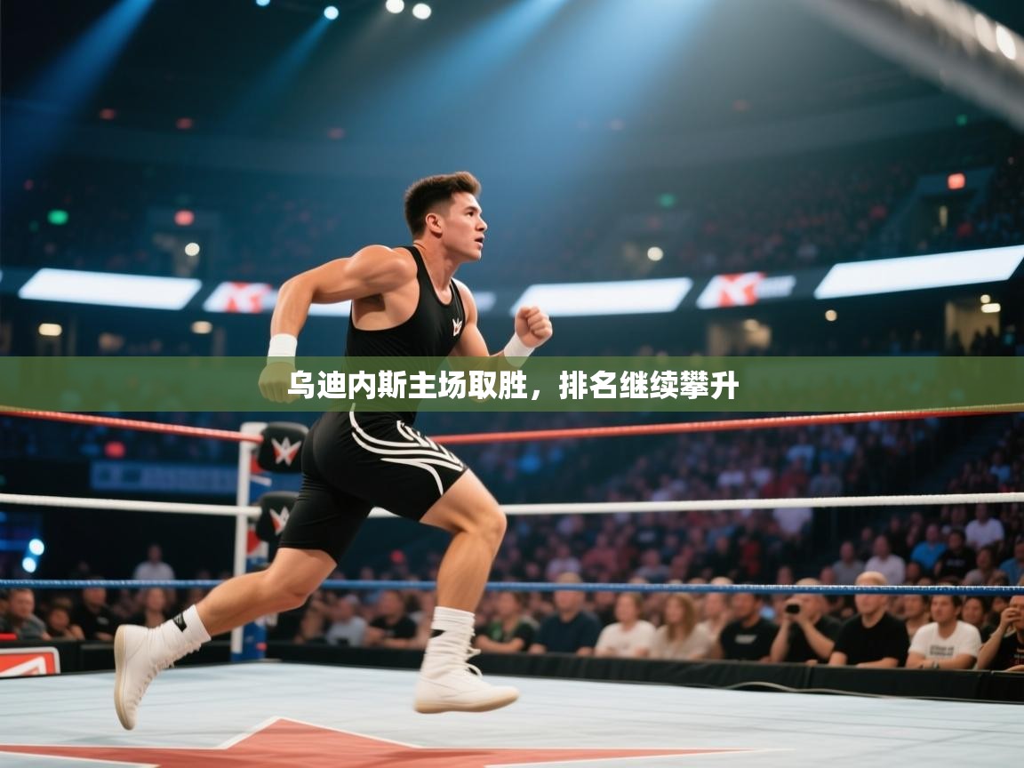 乌迪内斯主场取胜,排名继续攀升 第1张